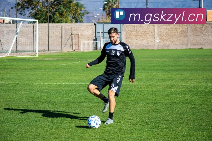 开云官方手机网页版平台生态图