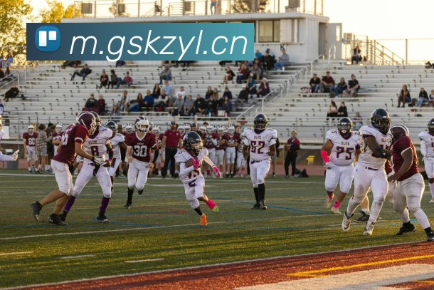 开云官方手机网页版APP 封面图